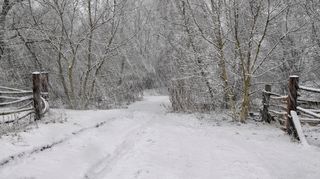 Meteorologové varovali před silným větrem, v kombinaci se sněžením hrozí sněhové jazyky